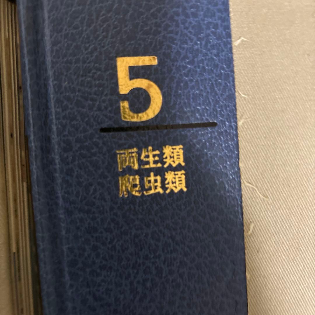 朝日百科 動物たちの地球 朝日新聞社