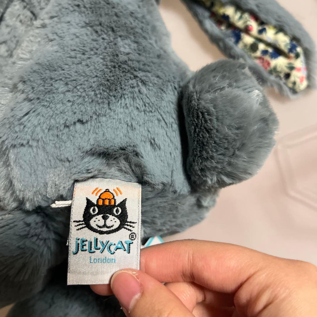 a*.様  Bashful Blossom Dusky Blue