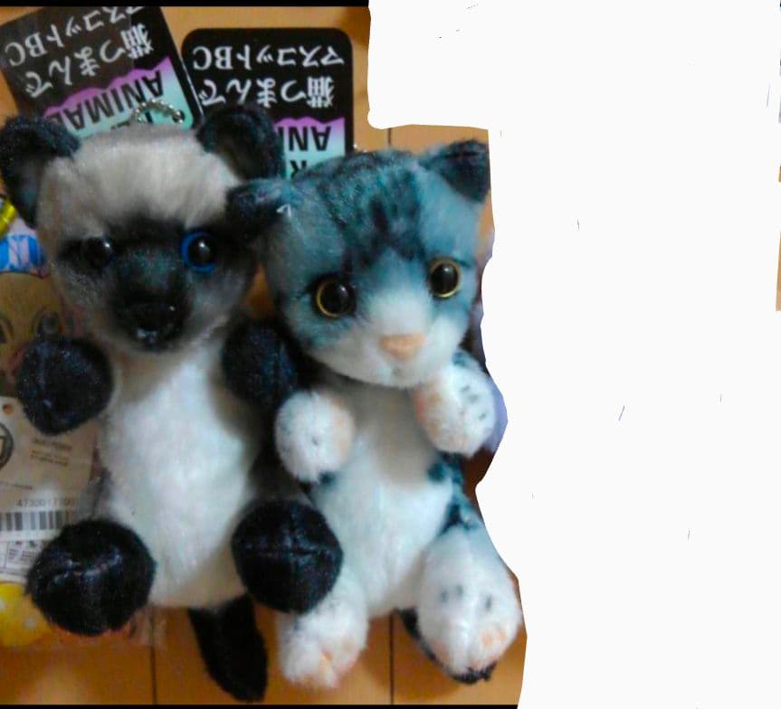 鬼滅の刃 甘露寺蜜璃 コンテナ BOX ボックス 収納　他全9点 セット　⑦