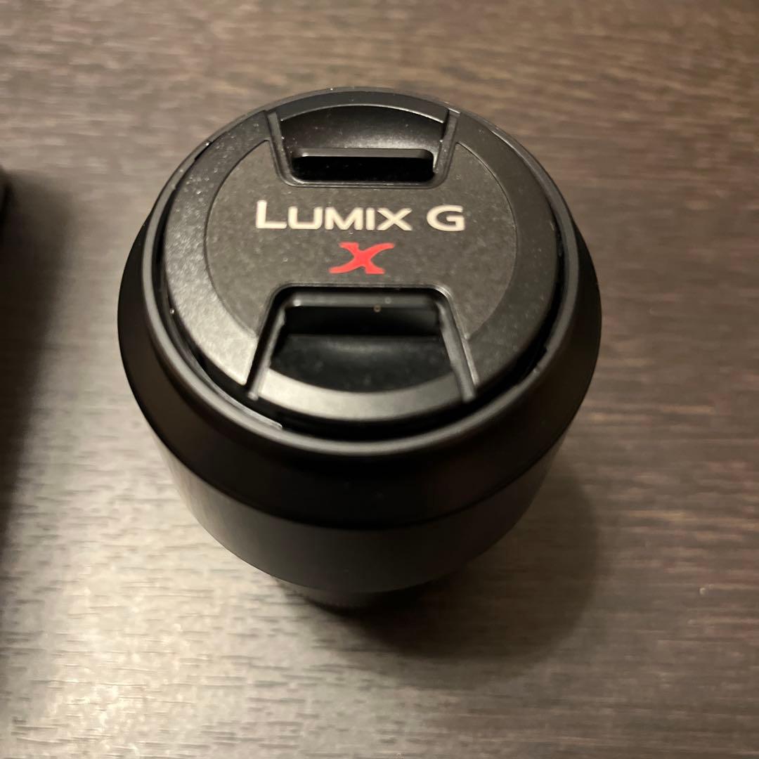 Panasonic LUMIX G 45-175mm レンズ