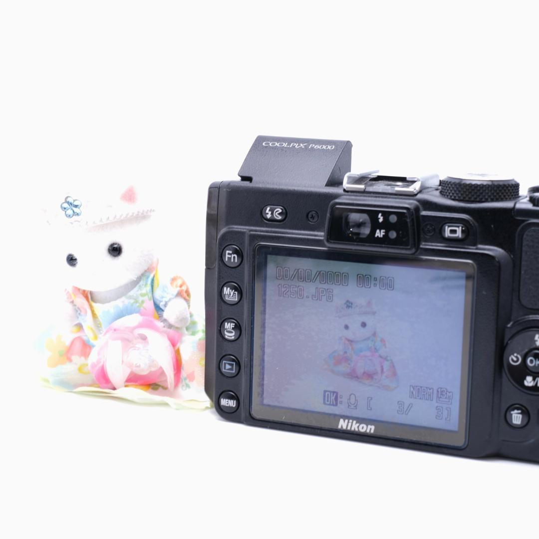 Nikon COOLPIX P6000 名機CCD搭載 エモい写真 コンデジ