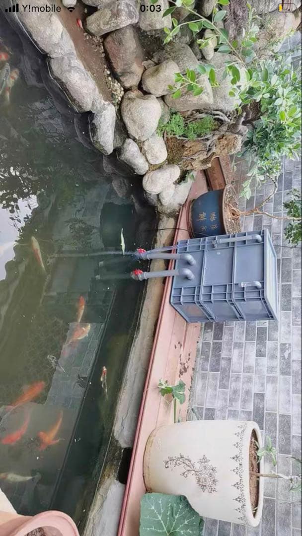 PSE認定ポンプ25w付き大型水槽用沈殿物理生物一体型濾過槽外部式濾過装置器濾過