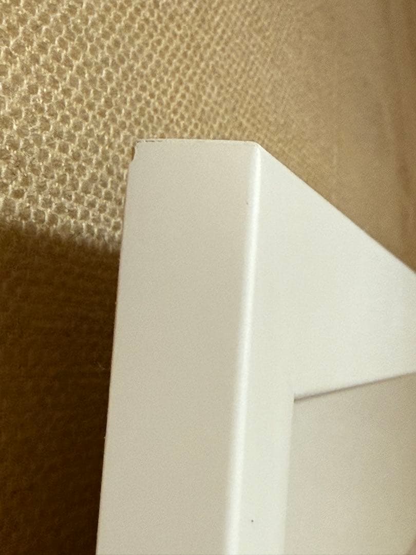 ジョジョの奇妙な冒険　複製原画　ジョジョ展 ジョセフ＆シーザー＆リサリサVer.