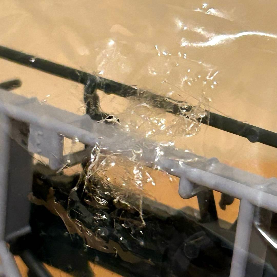 【訳あり特価⭐︎新品未使用】MG 1/100 プロヴィデンスガンダム