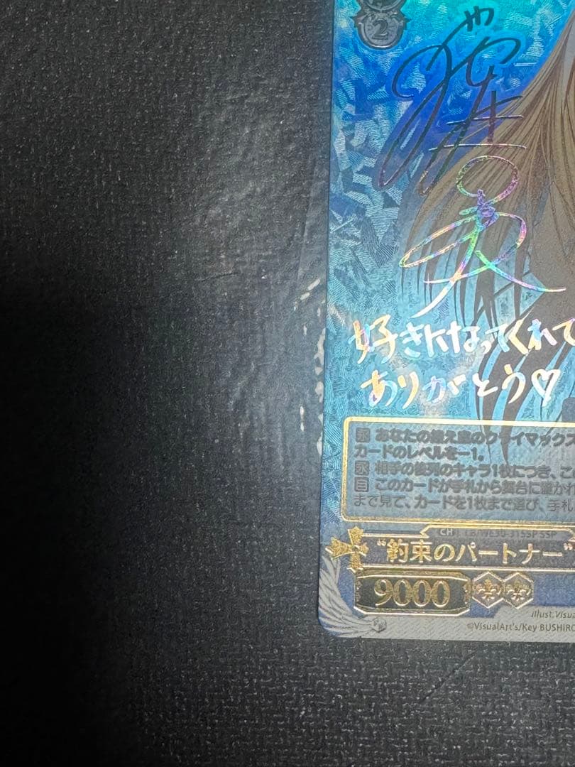 約束のパートナー　沙耶　SSP