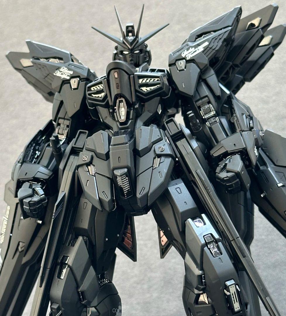 MGEXストライク・フリーダムガンダ- -ミッドナイトコーティング.Ver