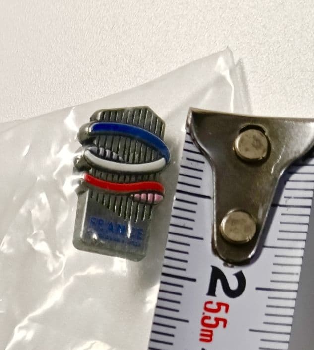 超稀少★非売品　大阪万博フランス館関係者ピンバッジ