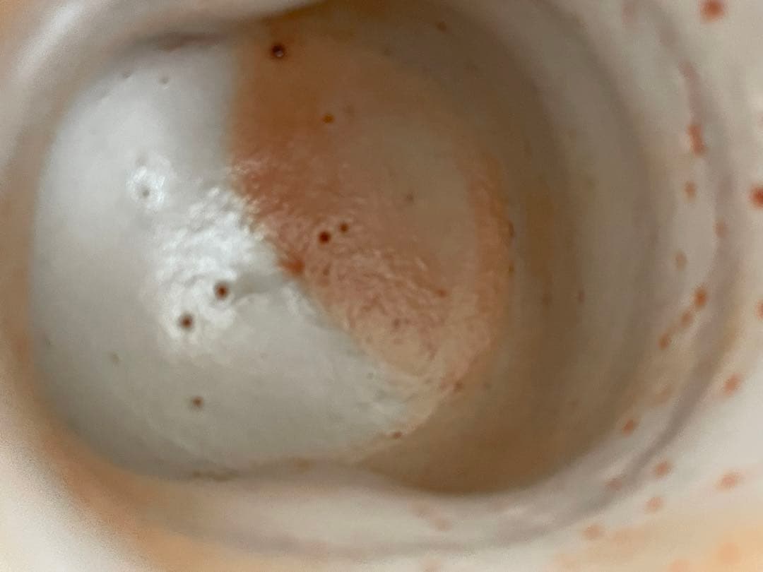 陶芸家　林正太郎　志野　湯呑　共箱