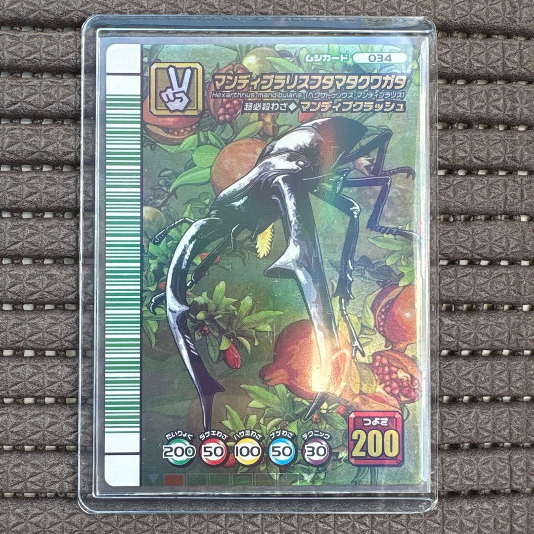 希少 美品 ムシキング マンディブラリスフタマタクワガタ 5周年 緑バーコード