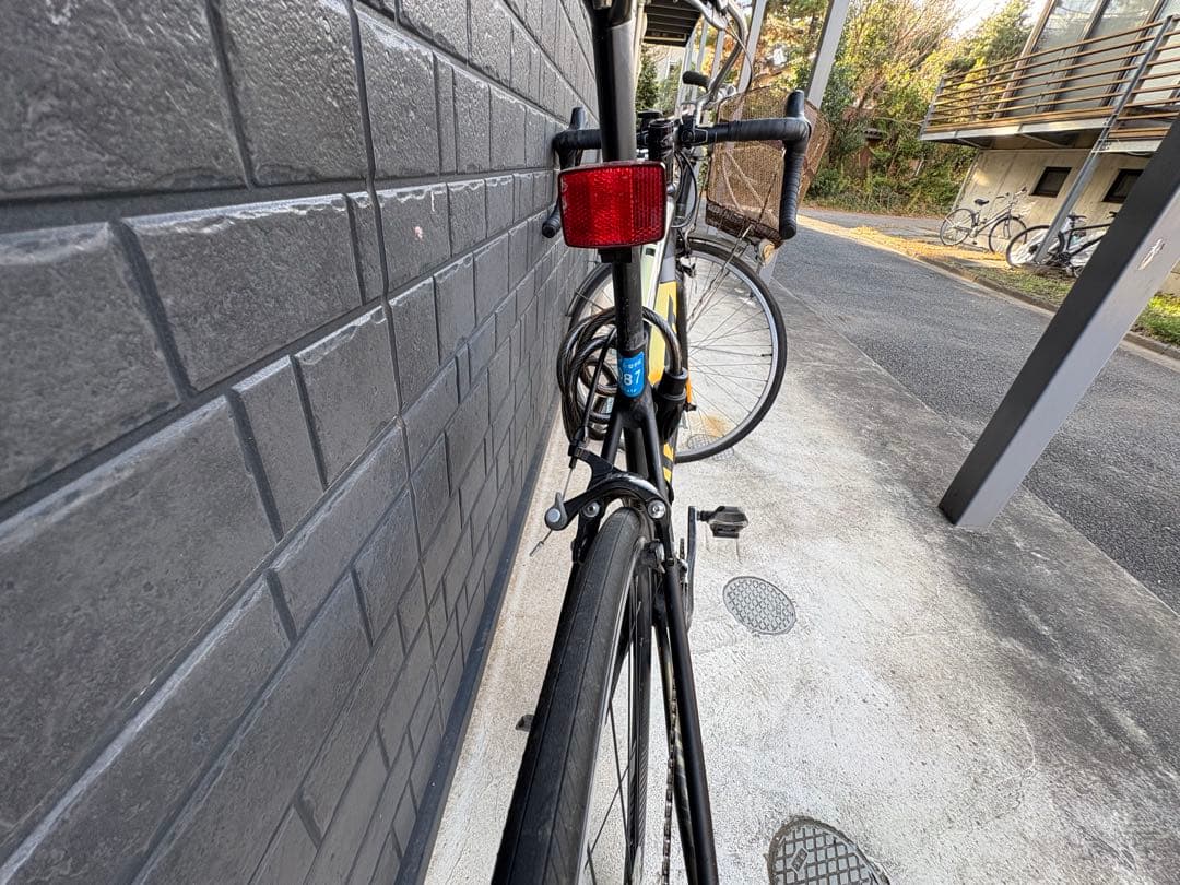 GIANT TCR SL2 (2018)本体(送料込み)