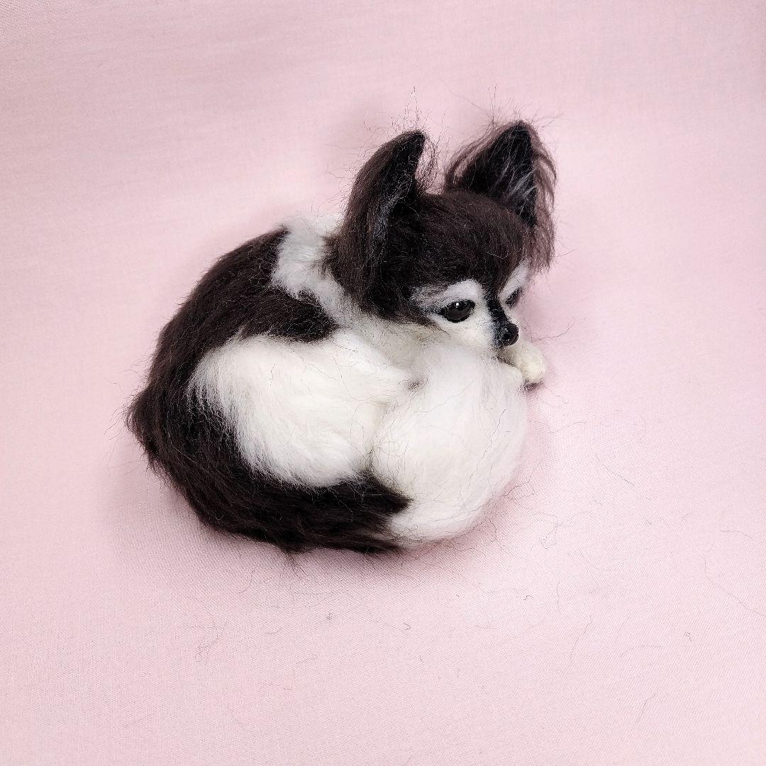 あきゅら様 羊毛フェルト チワワ ハンドメイド 犬