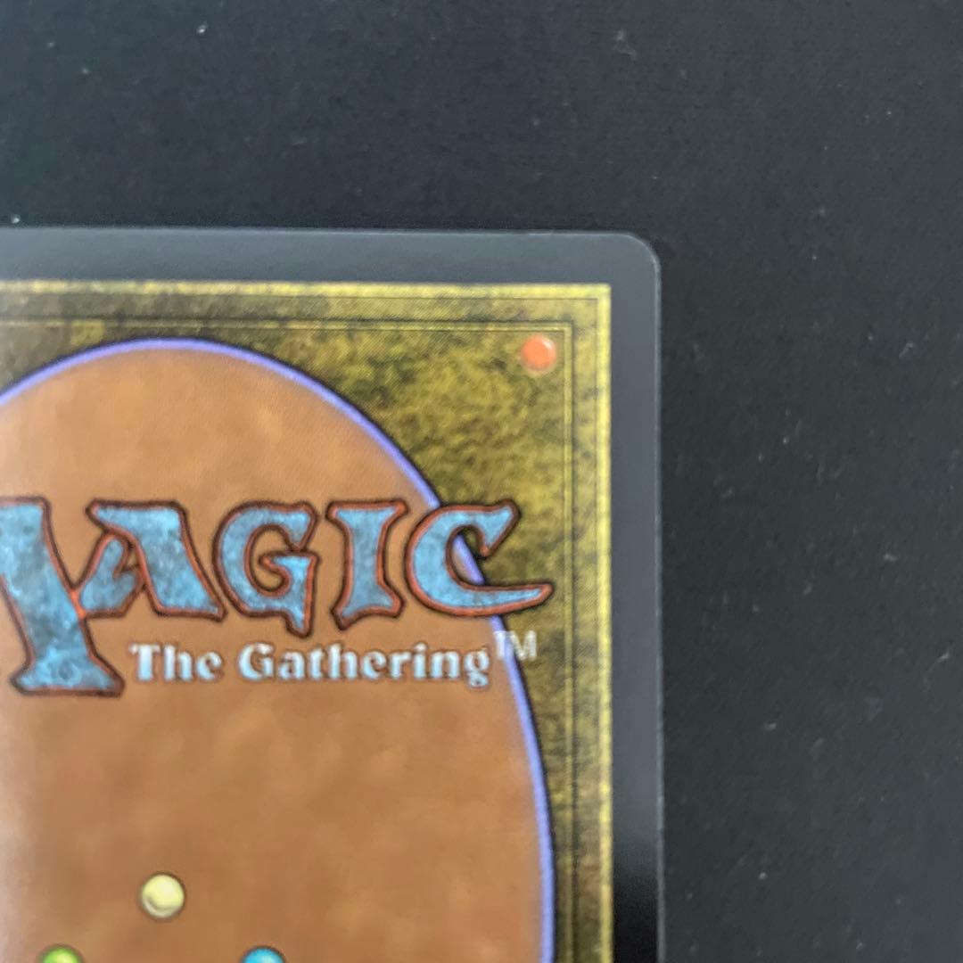 MTG アナグマモグラの子　英語　ボーダレス　Badgermole Cub