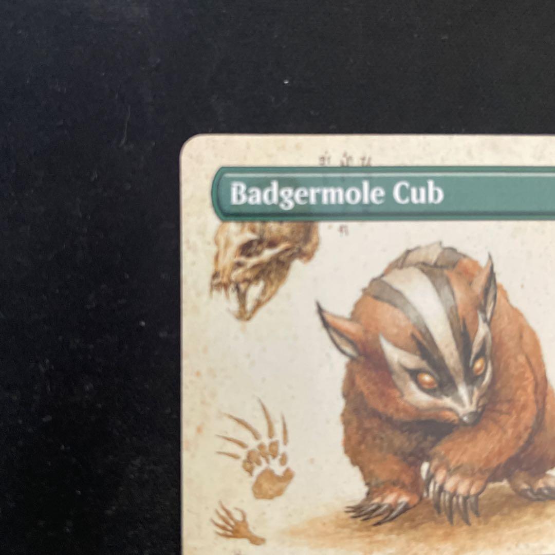 MTG アナグマモグラの子　英語　ボーダレス　Badgermole Cub