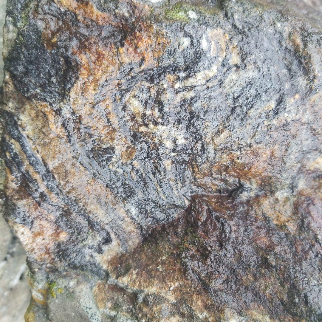 希少原石　結晶片岩　シスト　庭石　ロックガーデン　ガーデニング　宝石物質