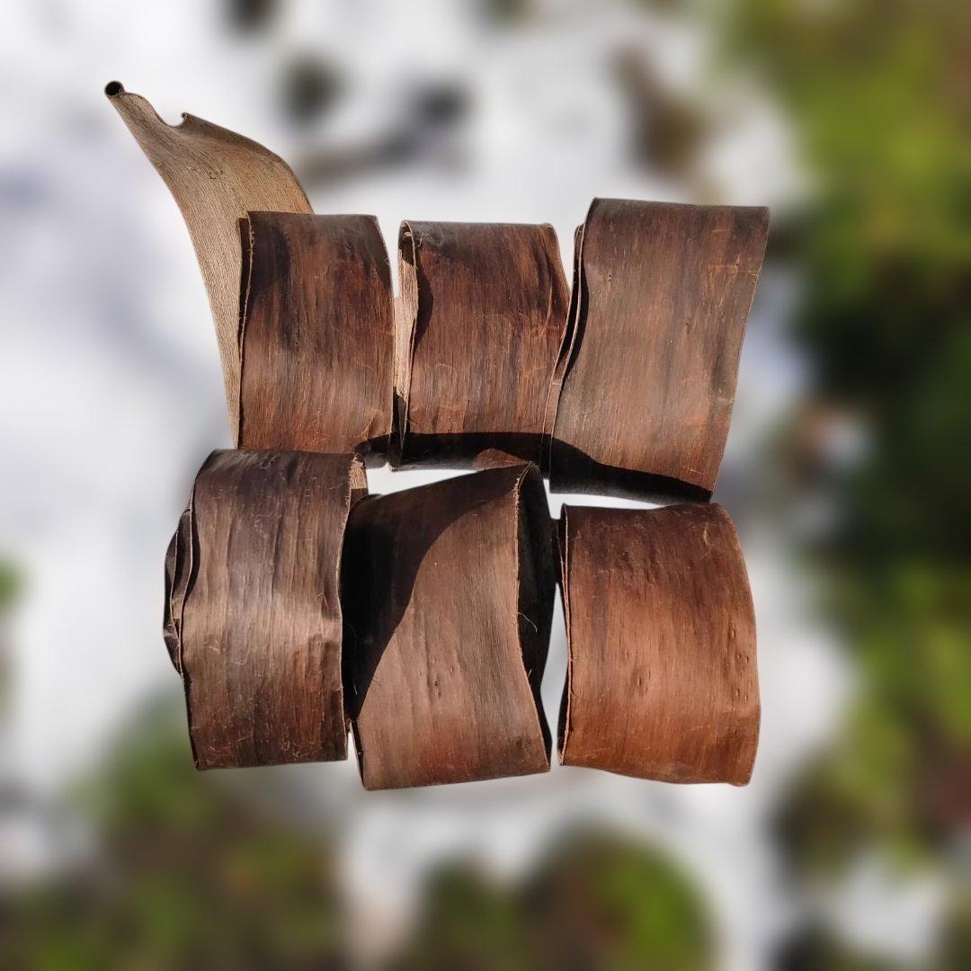 みっくん 胡桃 くるみ クルミ 皮 樹皮 約2kg