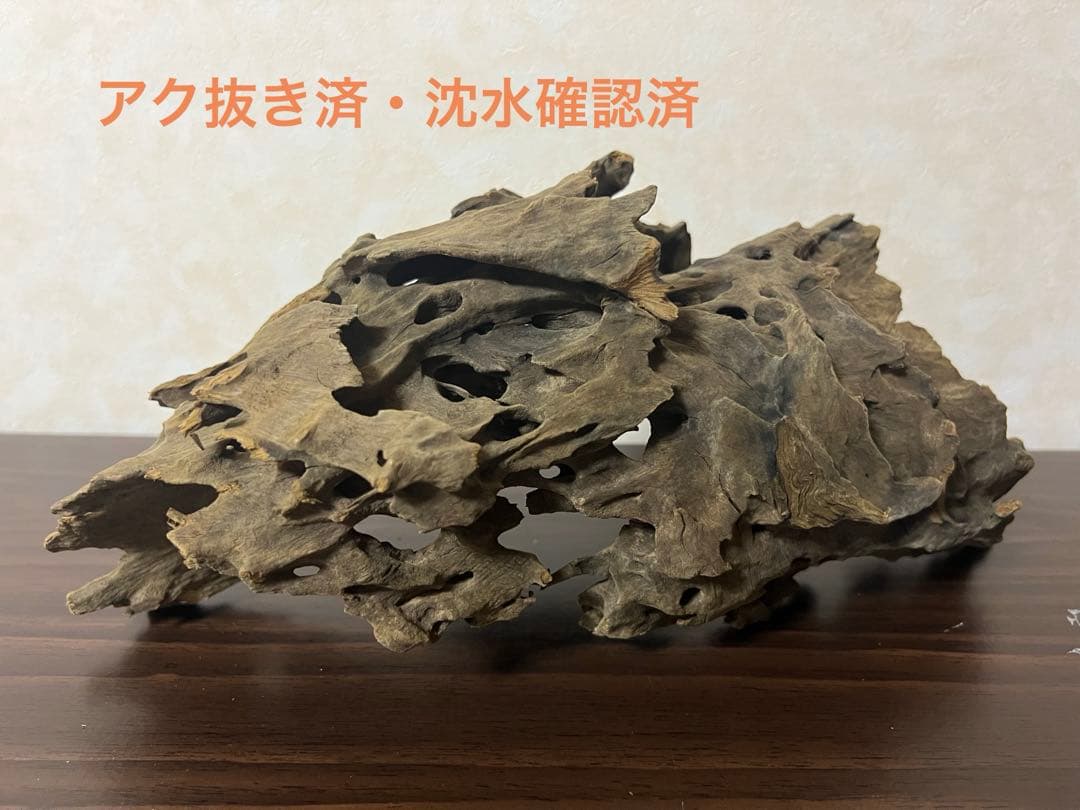 XM-367 ブランチウッド　流木　マシンガンウッド　アクアリウム　沈水確認済