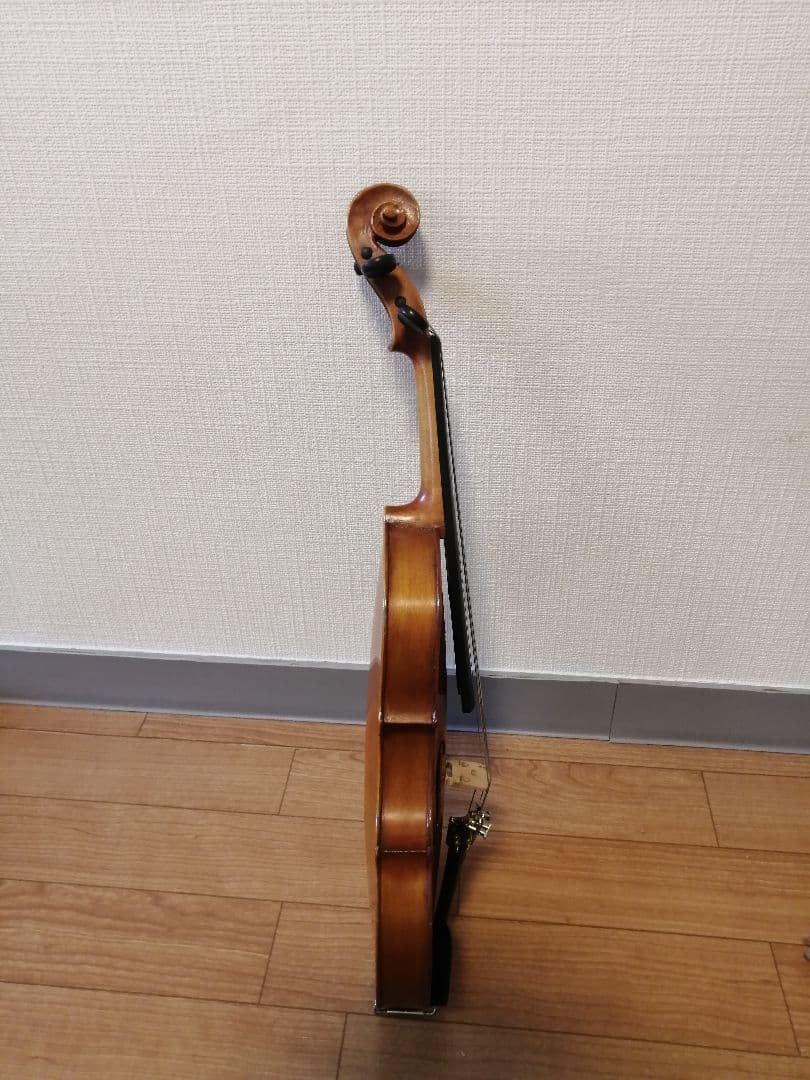 フレンチ ヴァイオリン 分数　1/2