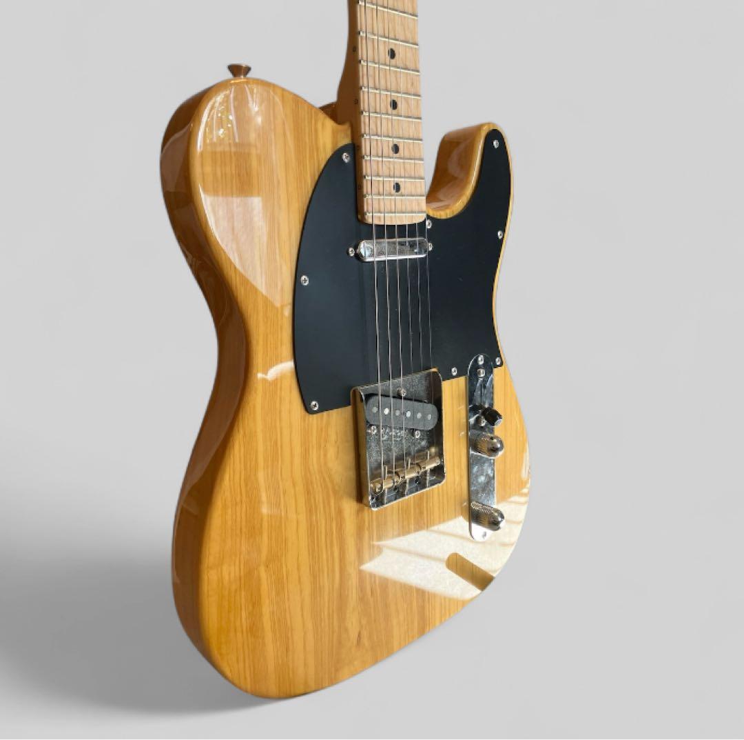 FUJIGEN Neo Classic NTE100MAH-VNT（ケース付き）