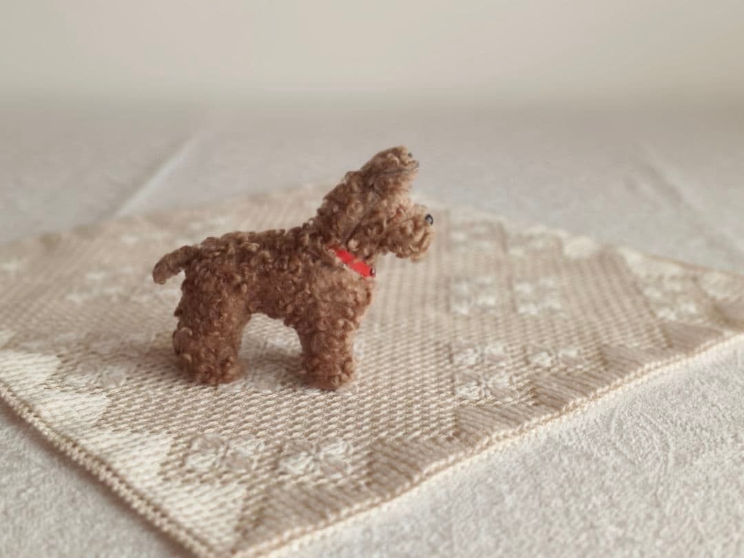 * vintage dog ❀ クルクル巻き毛がキュートな ワンちゃん