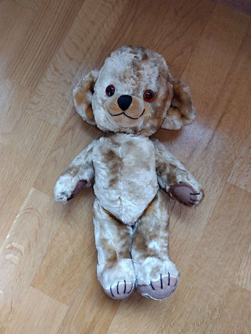 メリーソート社 REGタグチーキー