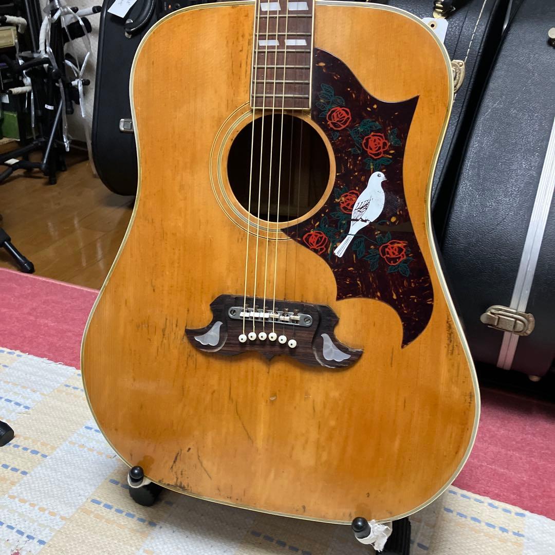 ジャパンヴィンテージ　ギター　DOVE