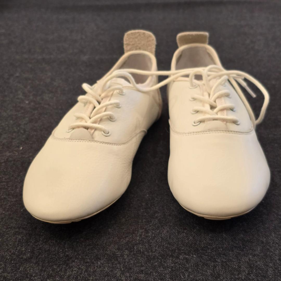 satoばあ 【まとめ出品】ERGOTRONアーム＆ゴライアス PRIMA