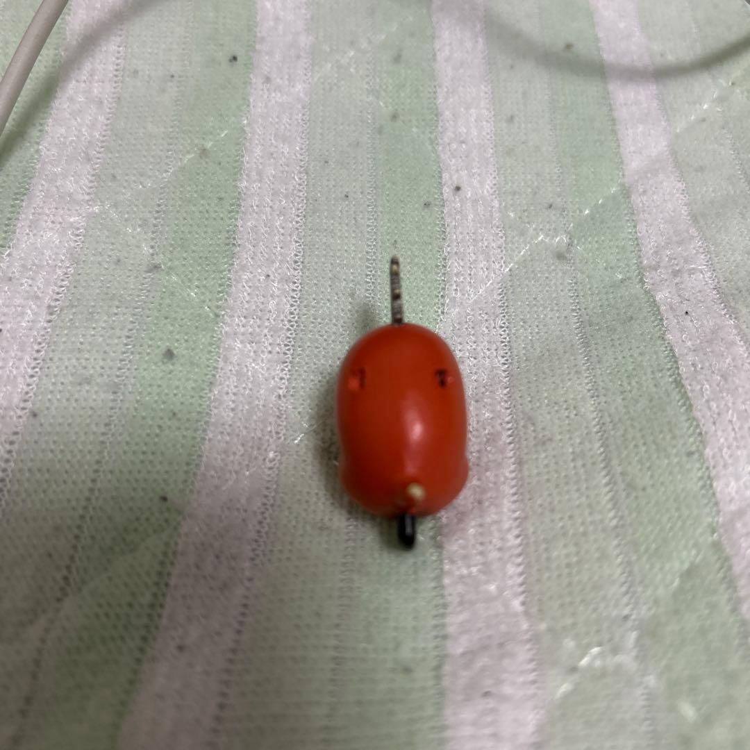 3年間共に過ごしたポチタ