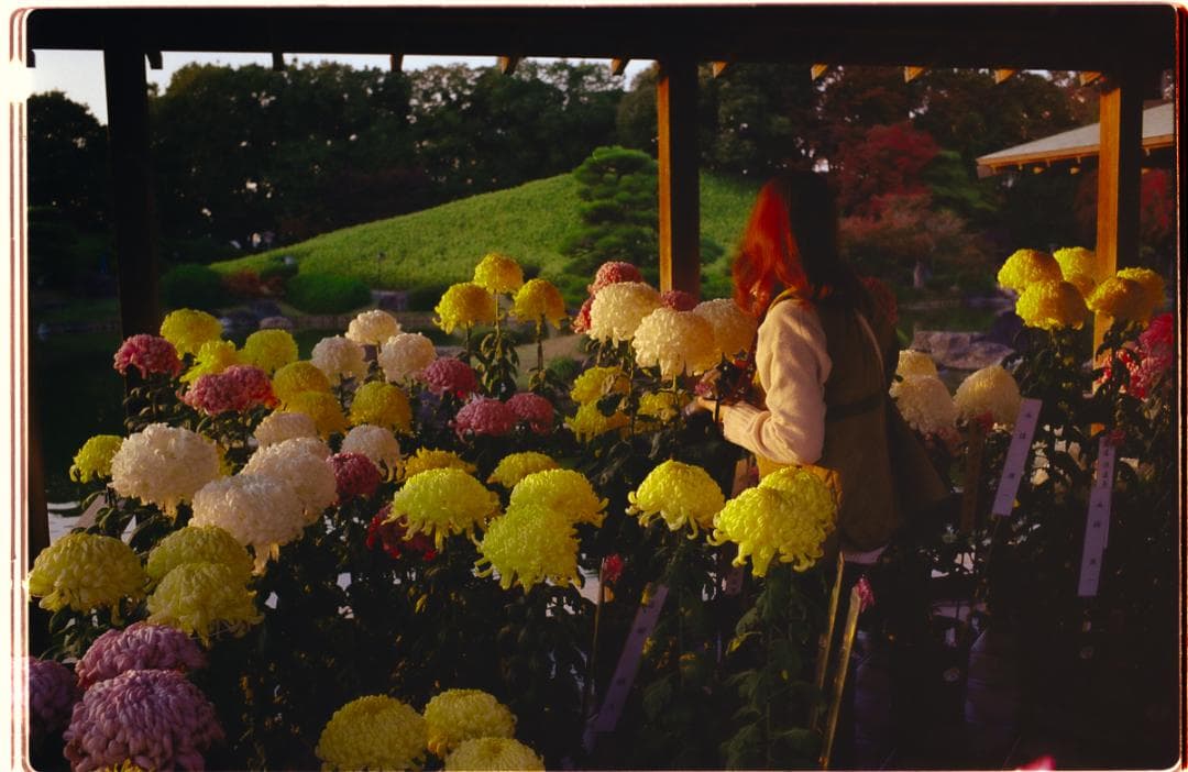 LEICA ズマリットM f2.4/35mm ASPH. （箱あり）11671