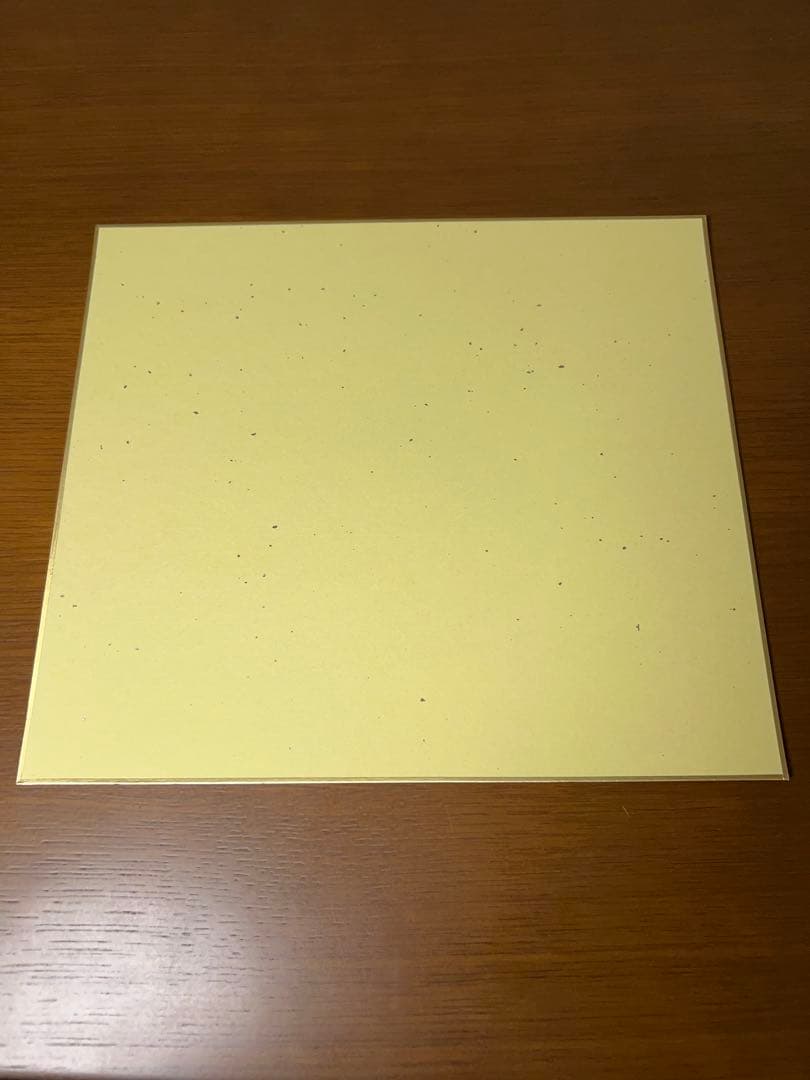 アズールレーン アズレン公式生放送 限定 サイン色紙 お皿