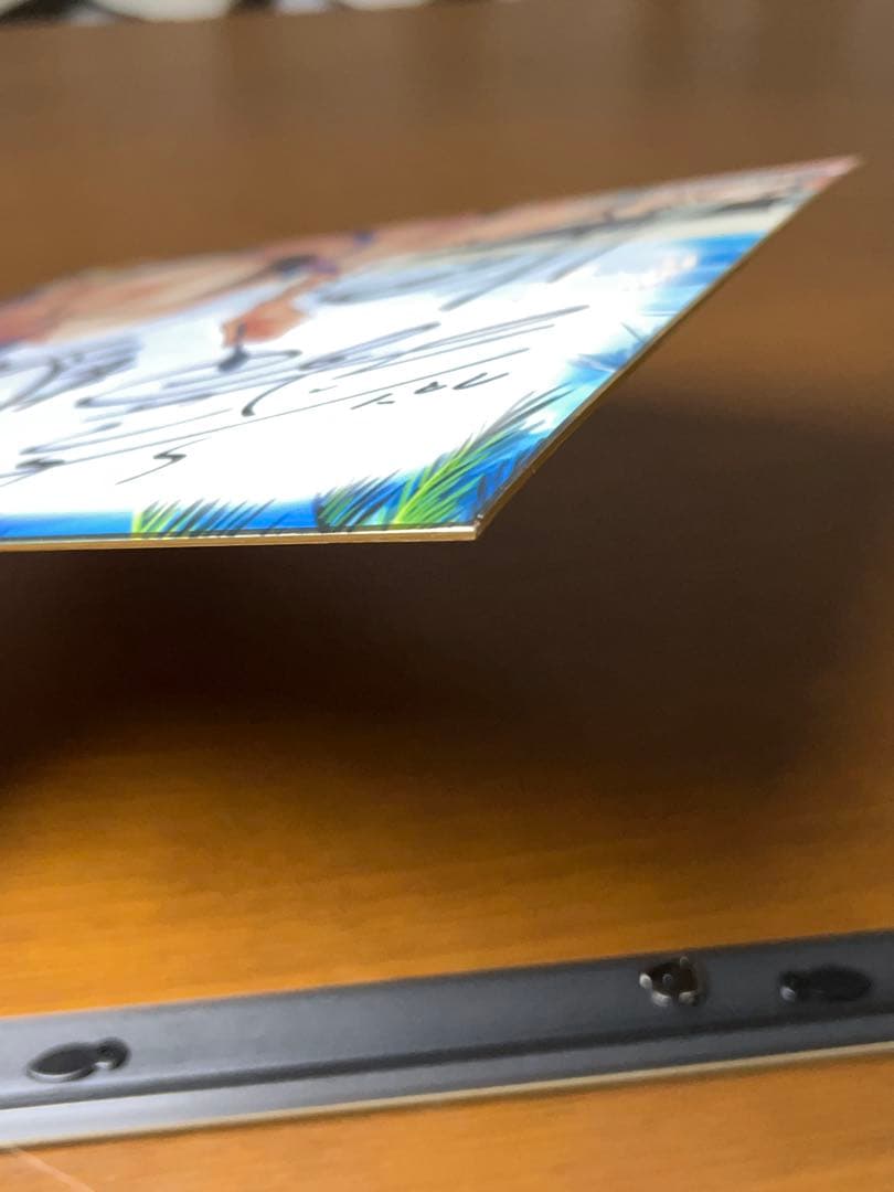 アズールレーン アズレン公式生放送 限定 サイン色紙 お皿