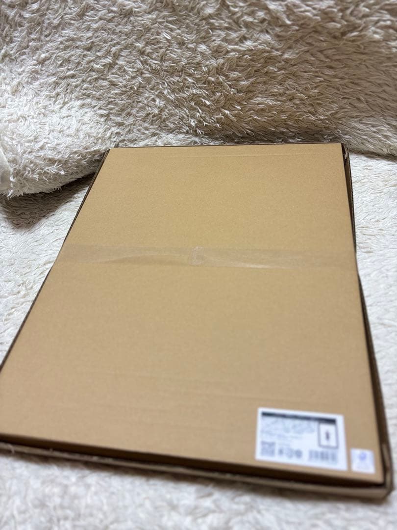 無職転生　異世界行ったら本気だすメモリアルアート ルーデウス　執事＆メイド