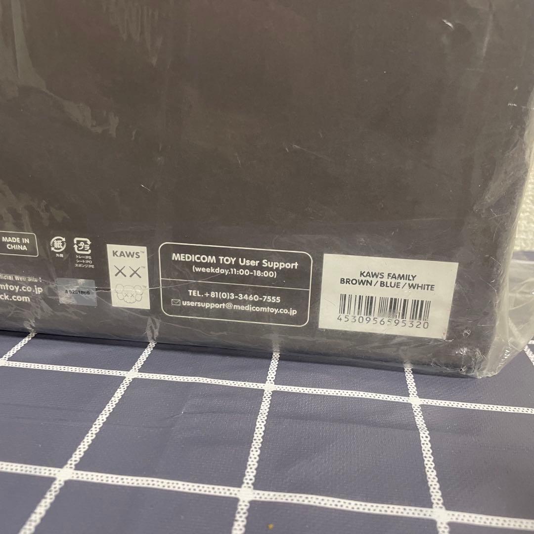 その他 KAWS FAMILY BROWN/BLUE/WHITE #1