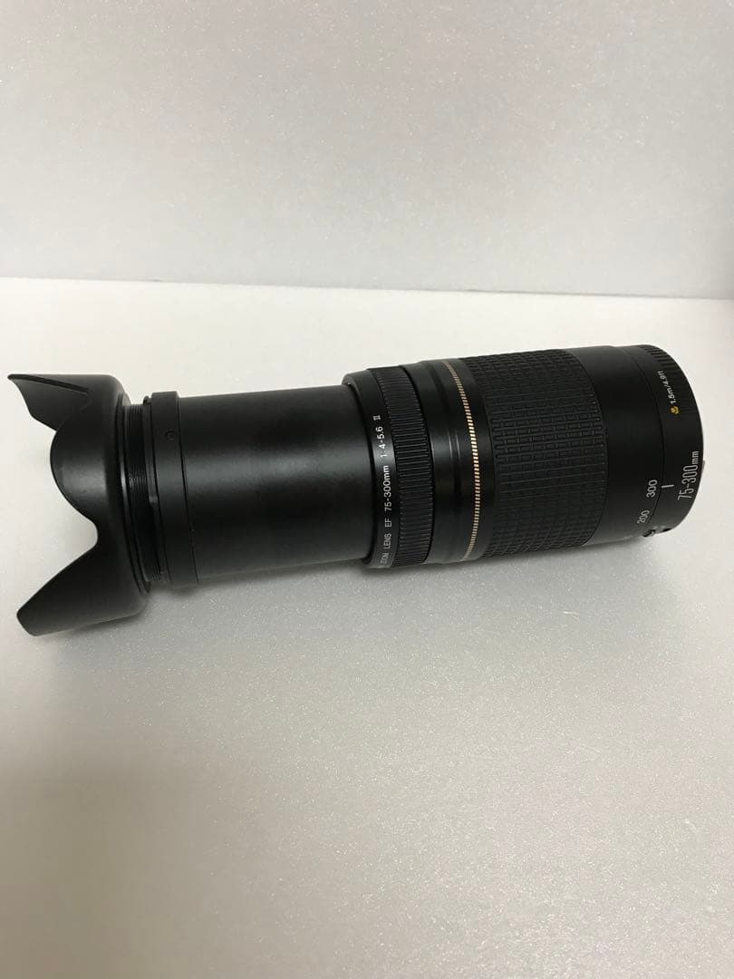 キャノン/イベント/運動会/Canon EF75-300㎜ F4-5.6 II
