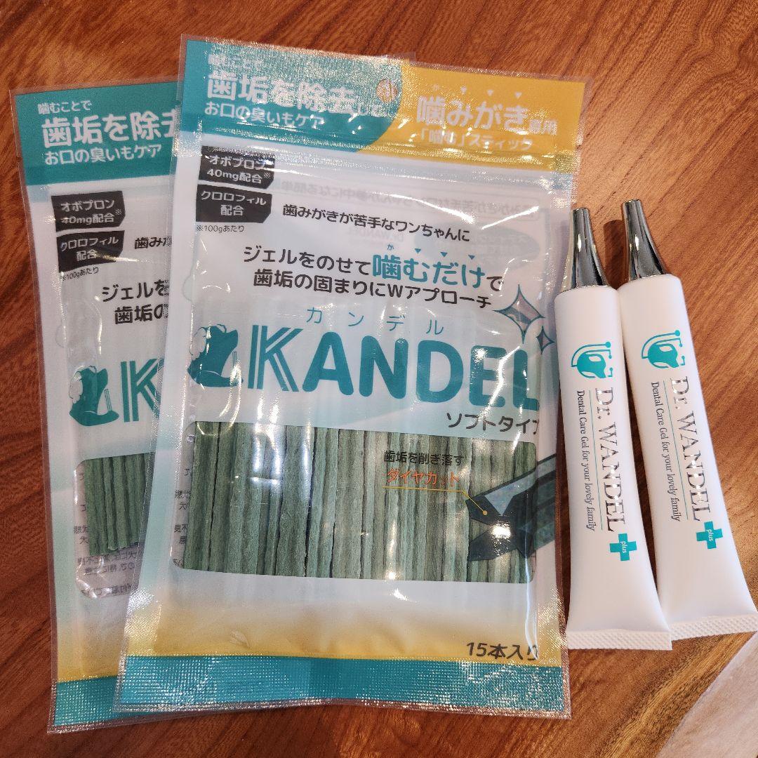 KANDL デンタルケア用ガム 15本入り