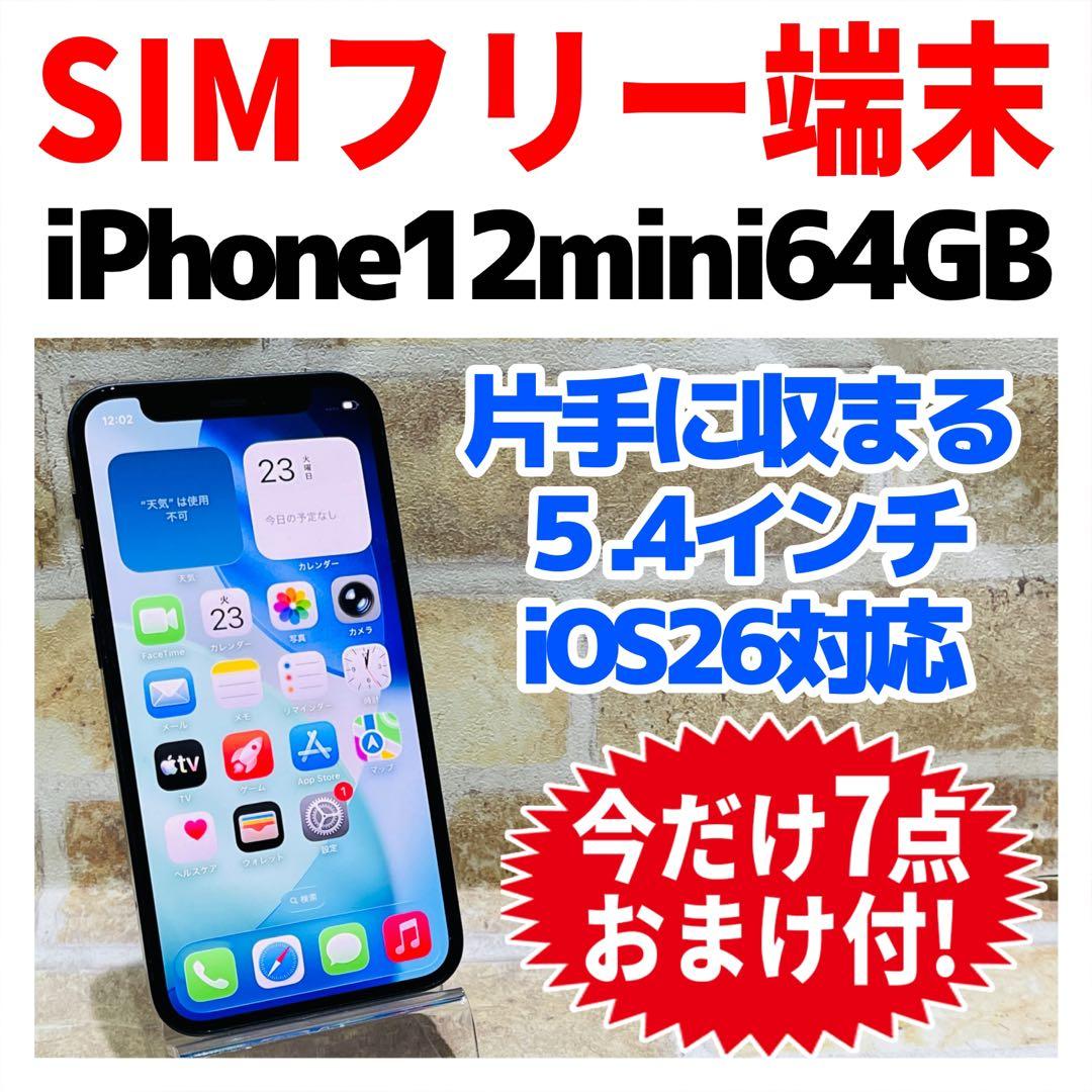 SIMフリー iPhone12mini 64GB ブラック 電池良好