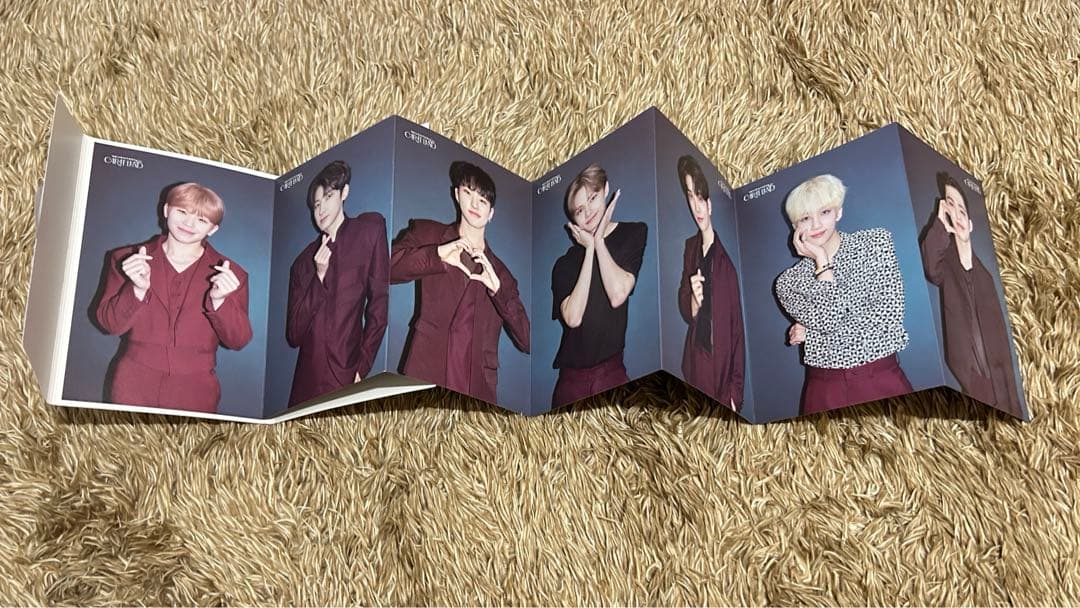 SEVENTEEN カラットランド 2021 dvd