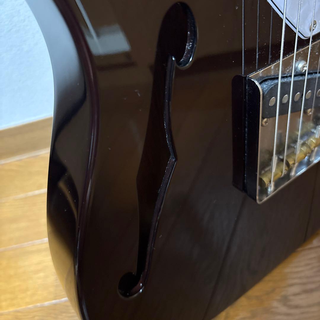 A*3様 フジゲン FUJIGEN FGN NTL11MMHT-WN シンライン