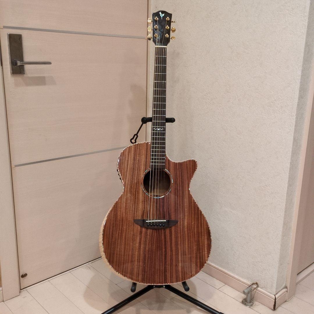 美麗!! 　DCT　GR-747 KCE （エレアコ）純正ギグバック付き