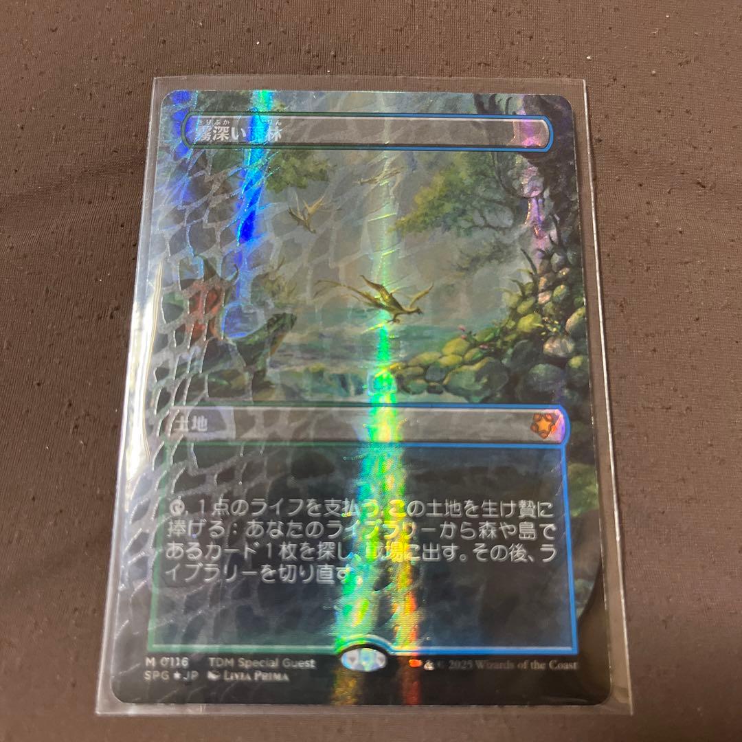 霧深い雨林　ドラゴンスケイルFoil日本語版　Misty Rainforest