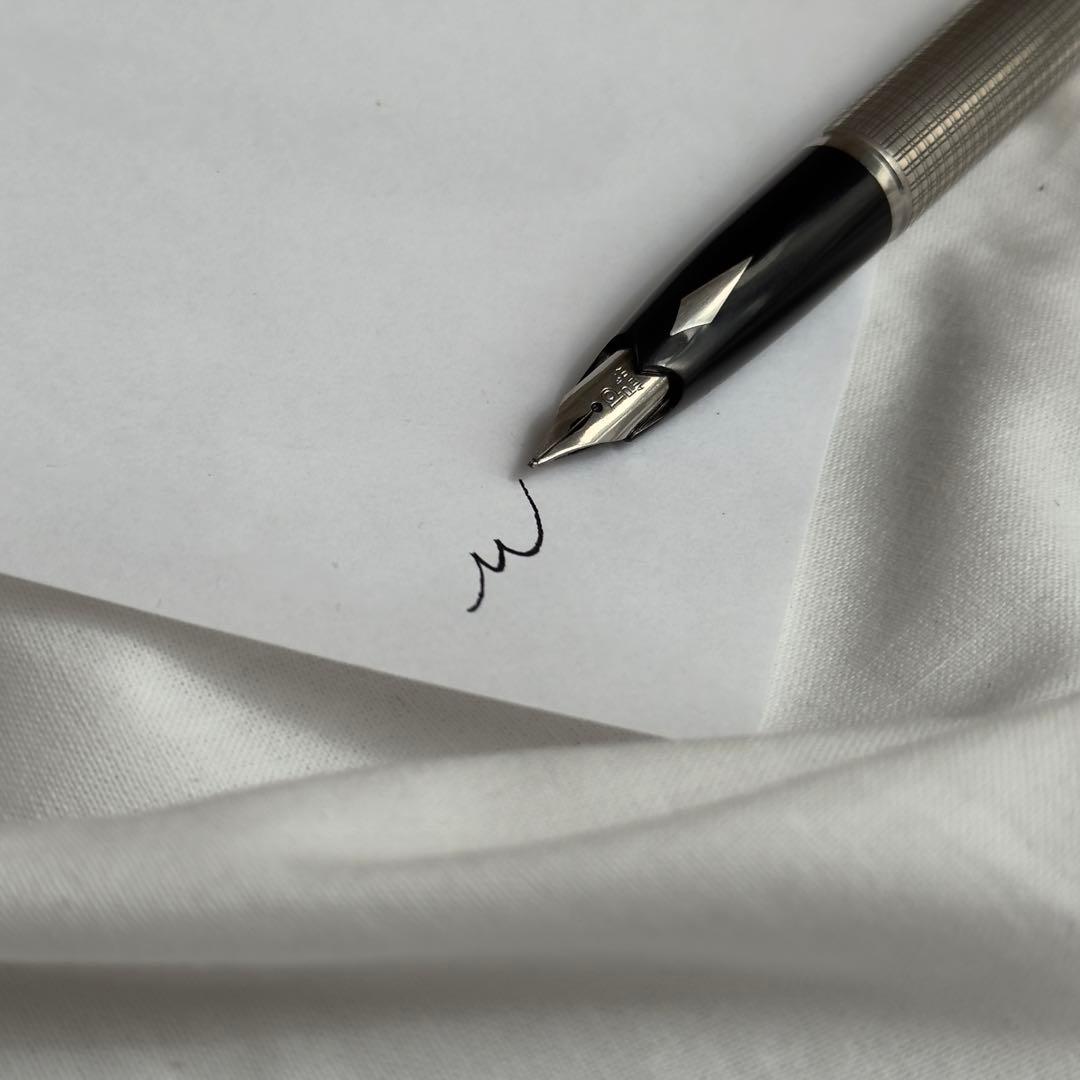 レザーケース・インク付き プラチナ Ptペン先 万年筆 シルバー silver