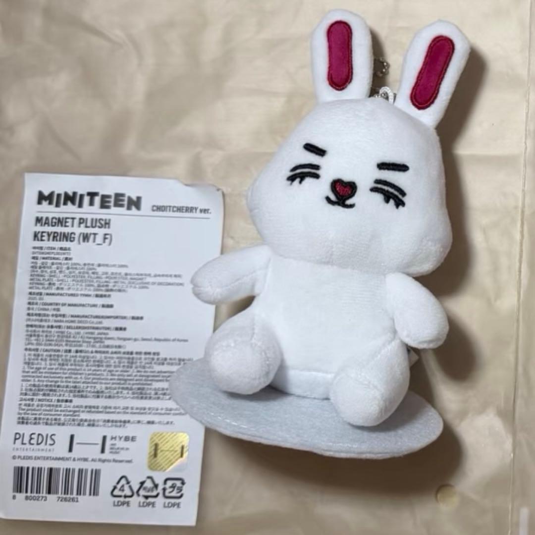 MINITEEN エスクプス ぬいぐるみ キーホルダー SEVENTEEN
