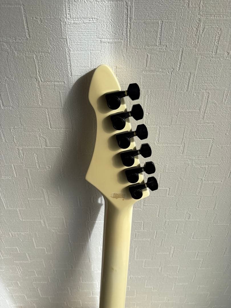 ⭐️希少⭐️ Aria Pro II（アリアプロII）　Black Dog