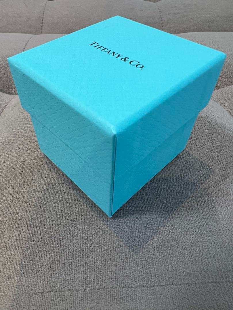 10号／TIFFANY＆Coティファニーバンドリング.プラチナ.ダイヤモンド