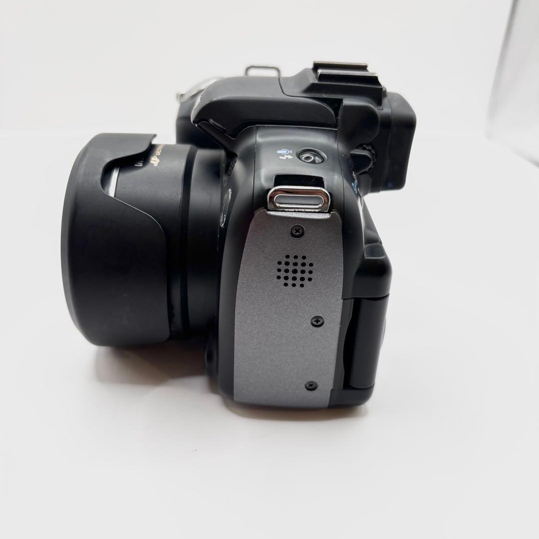 【美品】Canon PowerShot SX10 IS 乾電池