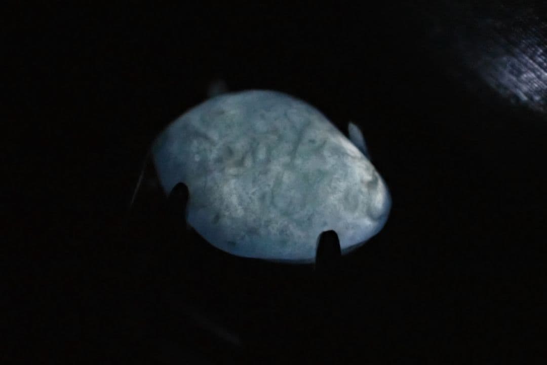 糸魚川翡翠　翡翠　入コン沢　青　ペントップ　sv925　送料無料