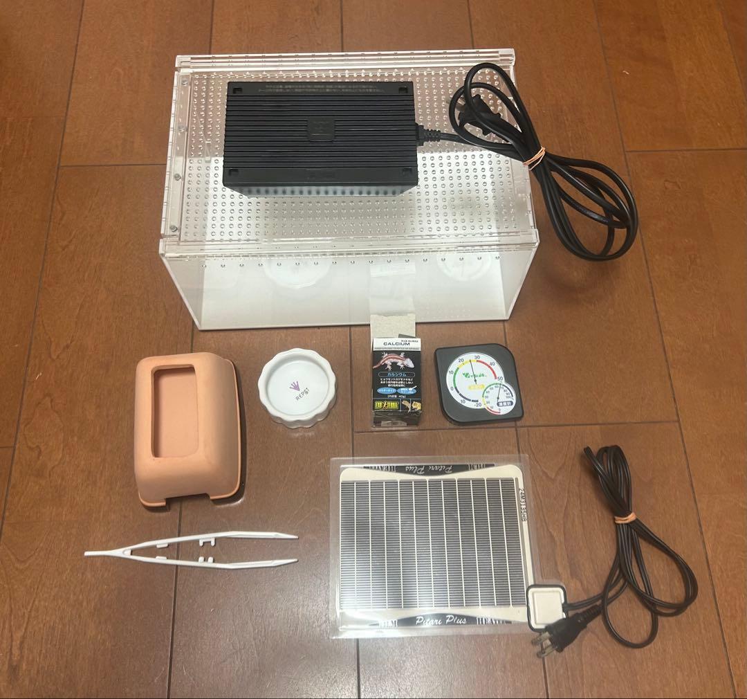 レオパ 飼育セット 爬虫類 11日までに〆