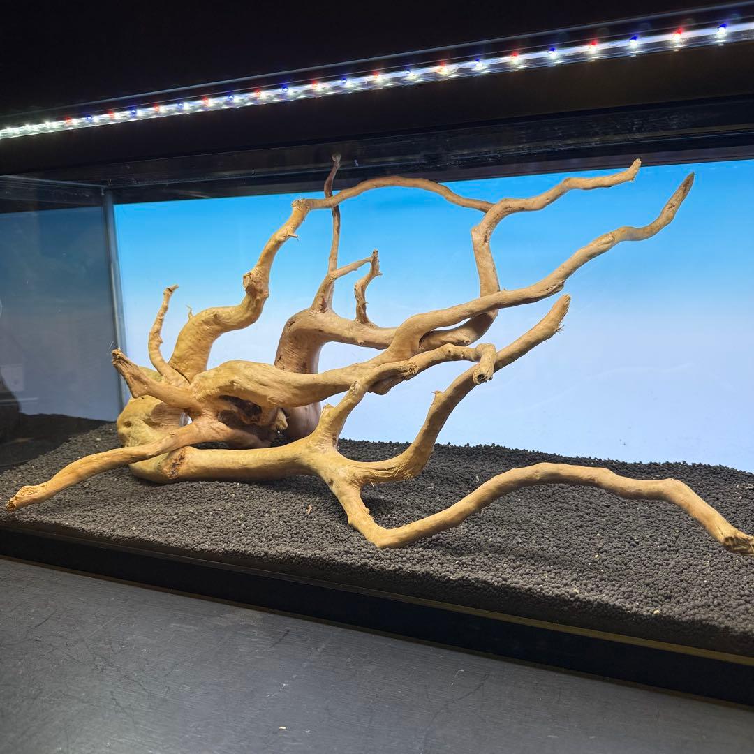 MDW-7102 ブランチウッド2本セット　流木セット　枝流木　アクアリウム