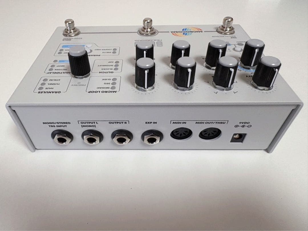 Hologram Microcosm ギターエフェクター