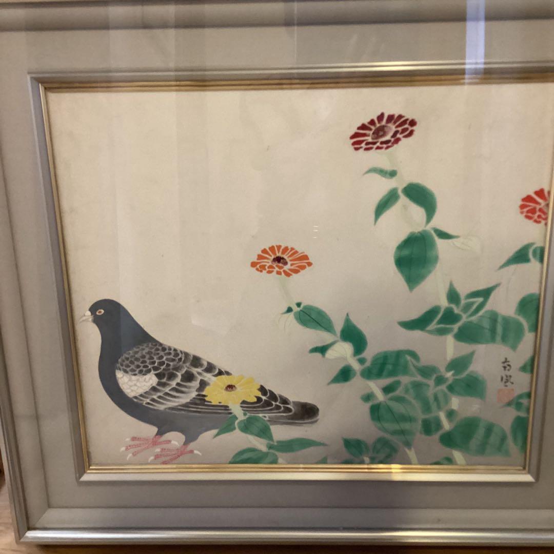 堅山南風　紙本彩色画花鳥図　【灰胡麻鳩之図】額装　共シール　鑑定シール在　478