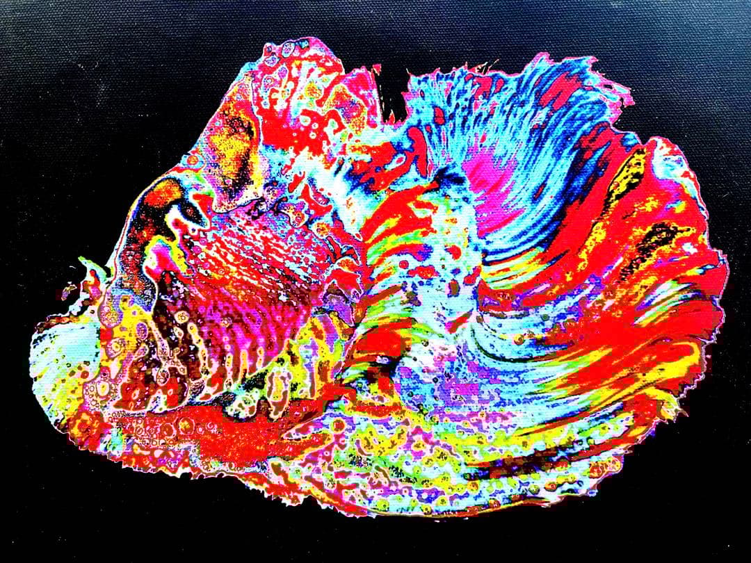 シャンタンアート